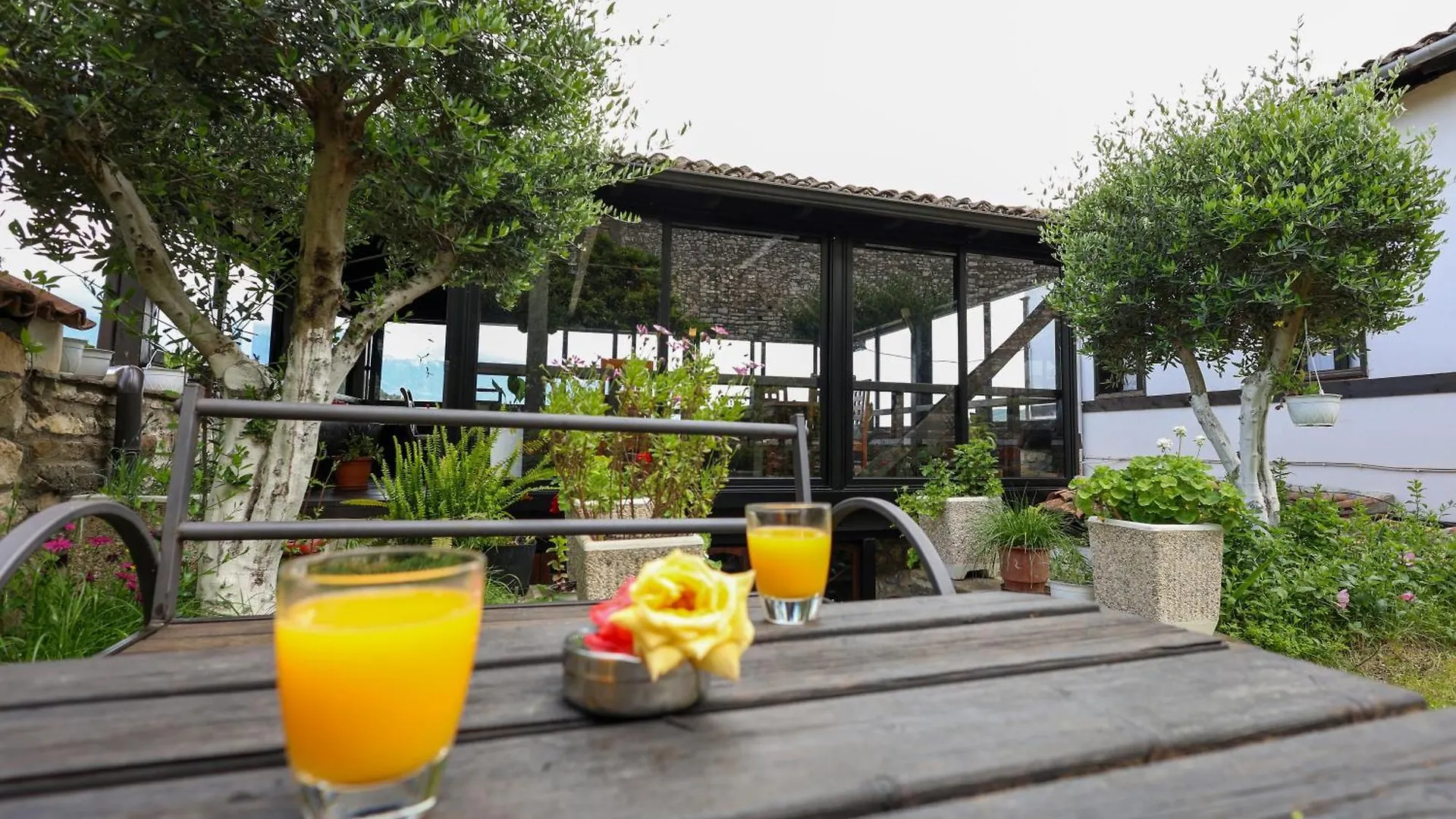 Villa Elmar Berat 4*,  Albanien