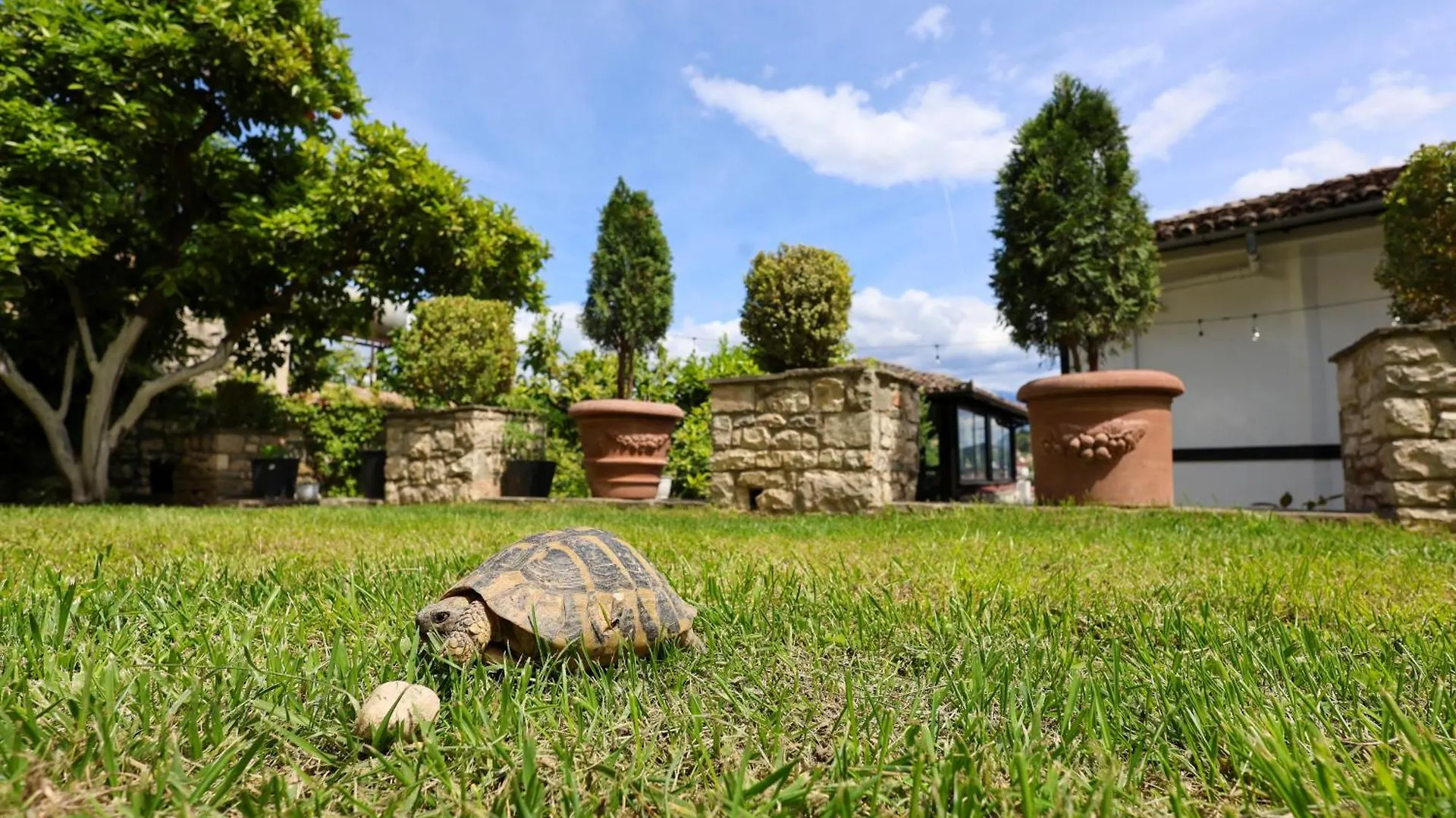 Villa Elmar Berat Hotel