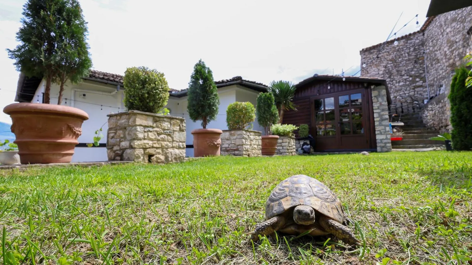 Villa Elmar Berat